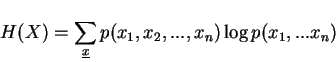 \begin{displaymath}H(X) = \sum_{\underline{x}} p(x_1,x_2,...,x_n)\log p(x_1,...x_n)\end{displaymath}