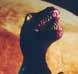 The Dino's buy it