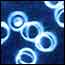 cells