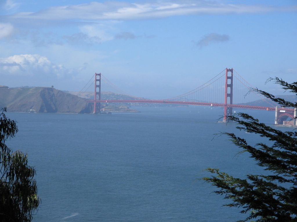 picture_016.jpg